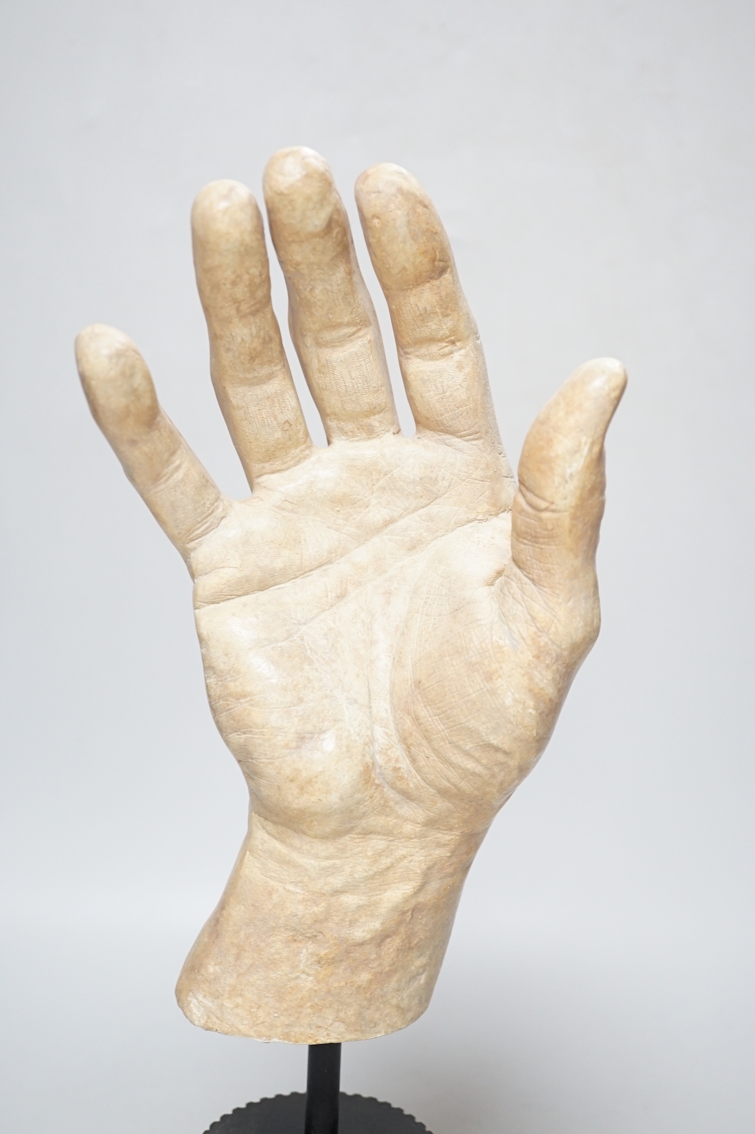 A composition model of a hand raised on a circular column base, 38cm high